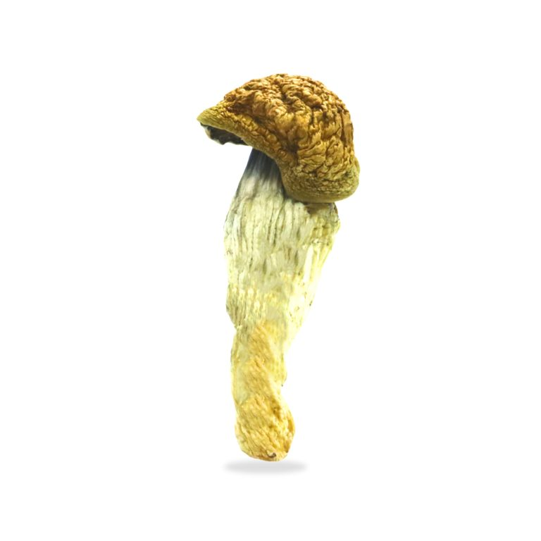 B+
